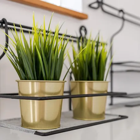 Lexi Private Hydromassage Hot Tub