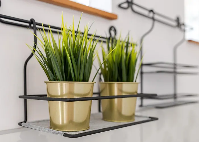 Lexi Private Hydromassage Hot Tub